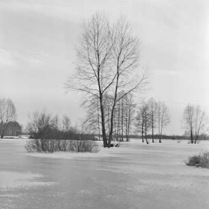 Landschaftsbild. Winter im Spreewald. : Wobraz krajiny. Zyma w Błótach.