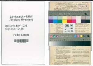 Entnazifizierung Lorenz Pellin , geb. 28.09.1900 (Elektroschweisser)