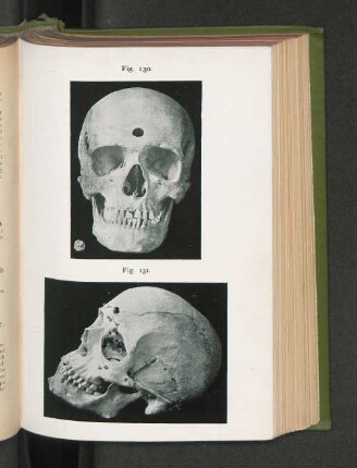 Fig. 130. Fig. 131.