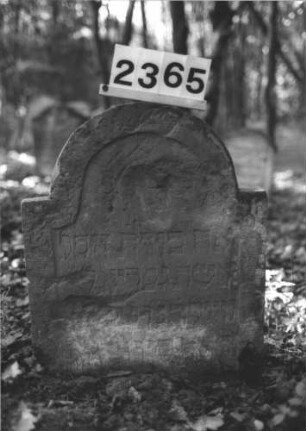 Grabstein 2365
