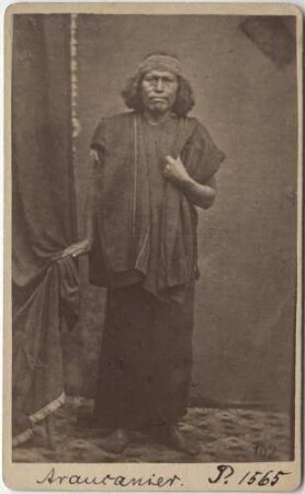 "Araucanier"
