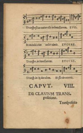 Caput. VIII. De Clavium Transpositione.