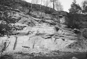 Halsbrücke-Niederschöna. Sandsteinbruch von Niederschöna, beim Forsthaus. Sandstein mit tonigen Schichten. Auskeilend, küstennahe Deltabildung