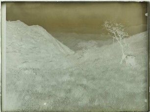 Bergland, mit Gras bewachsen