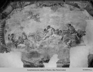 Sine Baccho et Cerere friget Venus, Allegorie der Erde