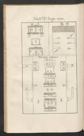 Tabula VIIa. Regia curia