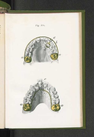 Fig. 316.