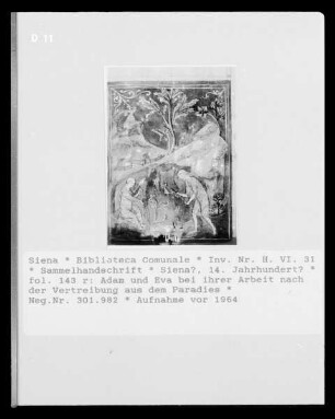 Sammelhandschrift — Adam und Eva bei ihrer Arbeit nach der Vertreibung aus dem Paradies, Folio fol. 143 r