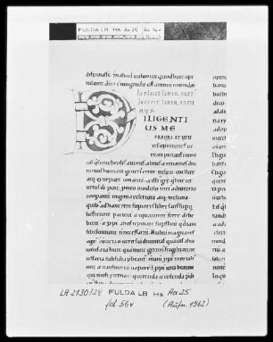 Augustinus, De civitate Dei — Initiale D (iligentius me), Folio 56 verso