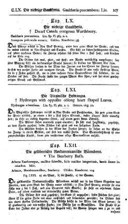 Cap. LXII. Die gelbbeerichte Nordamericanische Bärenbeere. Arbutus Xanthocarpus. Mihi.