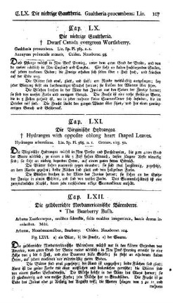 Cap. LXII. Die gelbbeerichte Nordamericanische Bärenbeere. Arbutus Xanthocarpus. Mihi.
