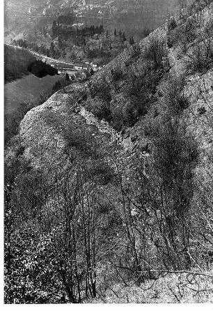 Trasse nach Stillegung der Bauarbeiten. Blick gegen Wiesensteig.