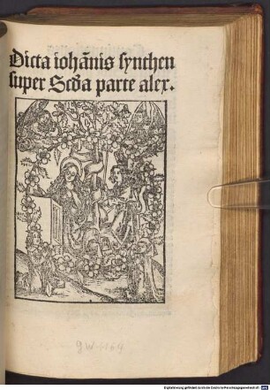 Doctrinale : P. 1-2, mit Glosse von Johannes Synthen. P. 1 ohne Glosse zur Vorrede. Mit Tabula, 2