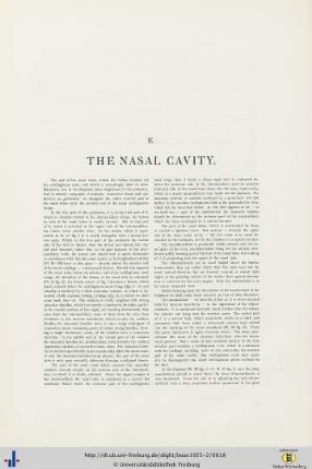 The Nasal Cavity.