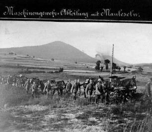 Erster Weltkrieg - "Kriegsansichten aus den Vogesen". "Maschinengewehrabteilung mit Mauleseln"