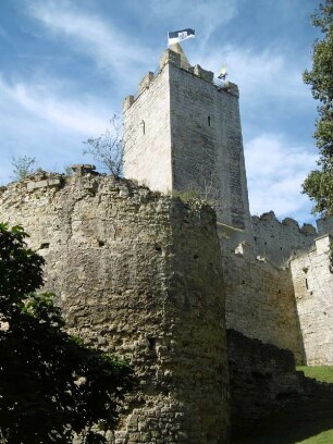 Bad Kösen: Rudelsburg