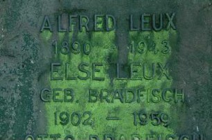 Deutschland. Baden Württemberg. Heidelberg. Bergfriedhof. Detail eines Grabsteins