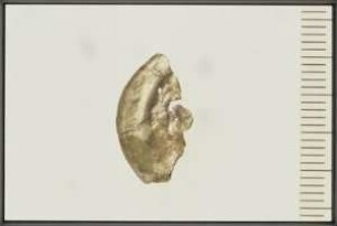 Fundmünze, Hohlpfennig, Brakteat, 1200 - 1400?
