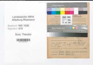 Entnazifizierung Theodor Sura , geb. 10.04.1900 (Kaufmann)