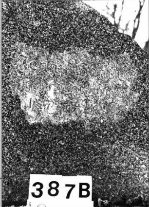 Grabstein 387 (Index: 100092504) Material: Granit Zustand: gut Maße HxBxT: 102x122x14 cm Beschreibung: Doppelgrabstein; breite aufgesockelte Stele mit eingezogenem Segmentbogenabschluß Symbolik: Davidstern: Grabstein 387B