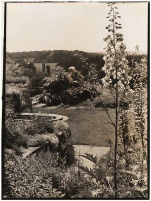 Garten von Bauer, Rhode: Ansicht