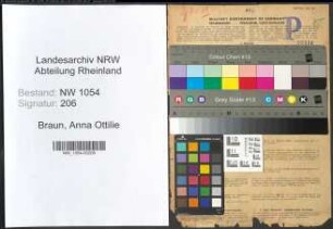 Entnazifizierung Anna Ottilie Braun , geb. 23.04.1900 ()