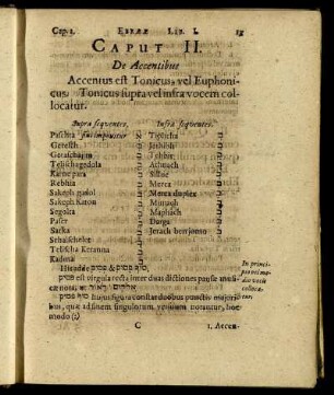Caput II. De Accentibus.