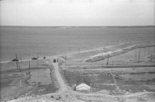 Odessa [Ukraine]: Pflanzprojekt in der Steppe, Überschwemmung