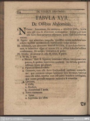 Tabula XVII. De Ossibus Abdominis