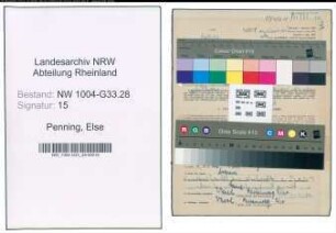 Entnazifizierung Else Penning , geb. 04.09.1906 (Lehrerin)