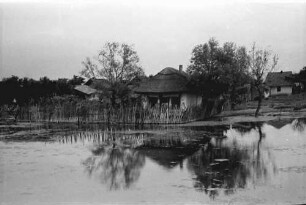 Dranceni: Haus am Pruth