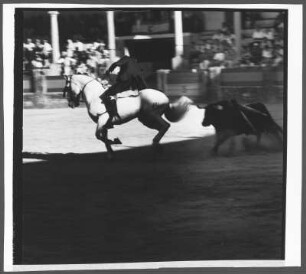 Reitveranstaltung in Jerez