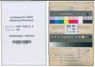 Entnazifizierung Heinrich Settelmayer , geb. 03.09.1884 (Ingenieur)