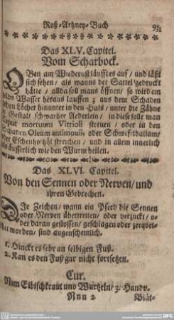Das XLV. Capitel. Vom Scharbock.