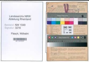 Entnazifizierung Wilhelm Flesch , geb. 17.05.1910 (Treuhänder)