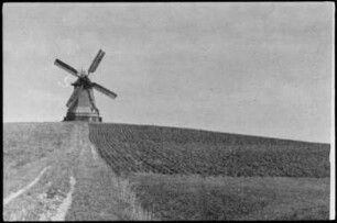 Schwedt/Oder-Heinersdorf. Mühle Stein, Holländermühle, Repro