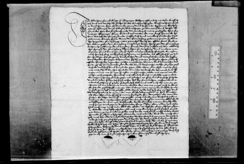 Lienhart Franck, B. zu Göppingen, wegen nicht genannter Vergehen gef., wird auf Fürbitte der wohlgeborenen Frau Anna v. Freuntspreg [von Frundsberg], geborene Gräfin von Ladron und Gemahlin des Ritters Jerg von Fruntsperg, und der edlen Frau Barbara von Bodma [Bodman, Kr. Stockach], geborene von Fruntsperg sowie drei Töchtern des Herrn Jörgen von Fruntßperg und anderer Frauen und Jungfrauen vom Adel, des Herrn Hanß von Fruntsperg, Domherr zu Augsburg, und anderer guter Freunde aus dem Gefängnis entlassen, verspricht, künftig ohne Erlaubnis der Oberkeit keinerlei Wehr zu tragen, keine offene Zeche oder Gesellschaft mehr zu besuchen, die Gefängnis- und sonstige Kosten zu tragen und schwört U.
