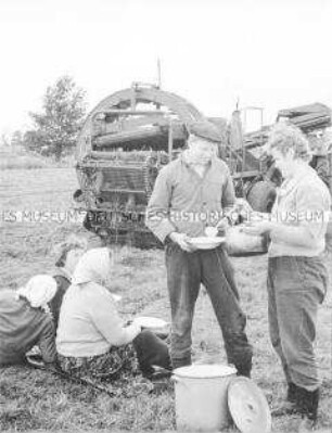 Ehemaliger Schüler der POS in Roddahn (Kr. Kyritz) und Anwärter auf den Feldbaumeisterbrief bei Mittagspause auf dem Feld