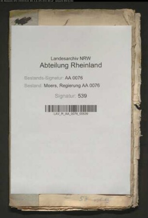 Bau einer katholischen Kirche und Anstellung eines eigenen Pastors IV