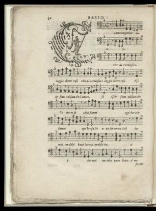 Candide perle e care