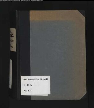 Gogerichtsregister Vogtei Detmold