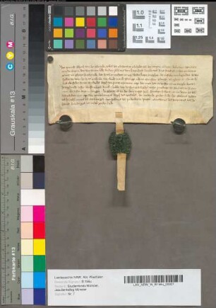 Copia fundationis Capellae S. Georgii et domus Hospitalis zu Stromberg.