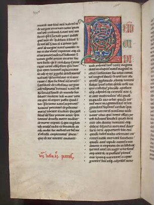 Zierinitiale und Zierschrift (Pars II, Visio septima): D(EINDE VIDI)