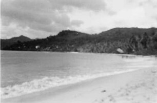 Reisefotos Karibik. Trinidad. Küstenlandschaft mit Strand und Bergen