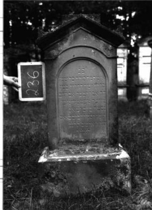 Grabstein 236