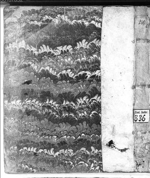 [Chajjim Vital], Sefer teʿame mitsṿot - BSB Cod.hebr. 336