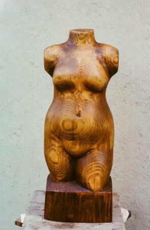 Weiblicher Torso