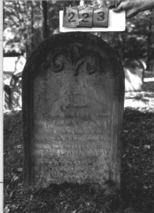 Grabstein 223 (Index: 99609859) Material: Sandstein Zustand: stark verwittert, vollständiger Textverlust Maße HxBxT: 91x55x10 cm Beschreibung: Stele, Rundbogenabschluß, Schriftfeld eingetieft Symbolik: foral: Grabstein 223