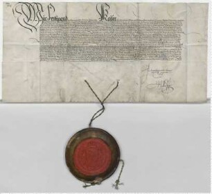 Kaiser Ferdinand bestätigt dem Rat die Privilegien seiner Vorgänger. Eigenhändige Unterschrift.
