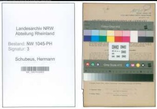 Entnazifizierung Hermann Schubeus , geb. 29.12.1891 (Augenarzt)